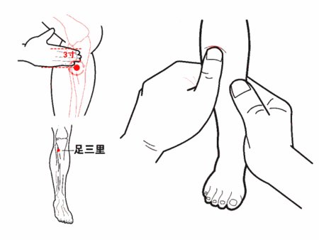 细说“足三里”,保健排第一