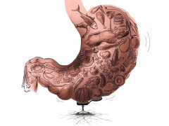 胃病形成的“加速器”公布