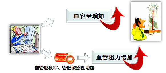 高盐饮食会加重高血压,身边有高血压患者的朋友你可以看这份指南