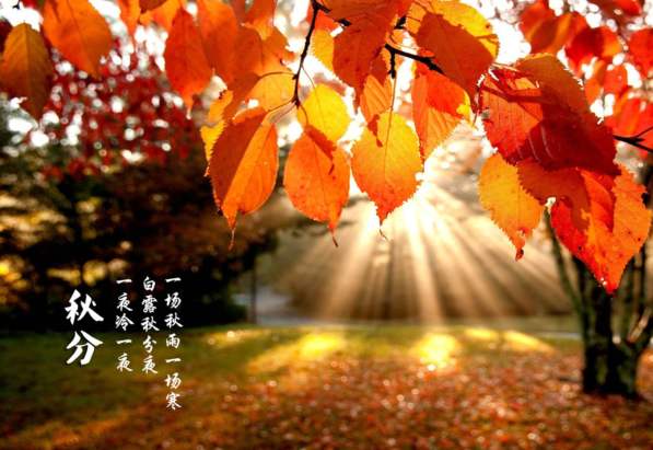 秋天的第一份养生手册,送给肌肉、骨骼为表现的风湿病友
