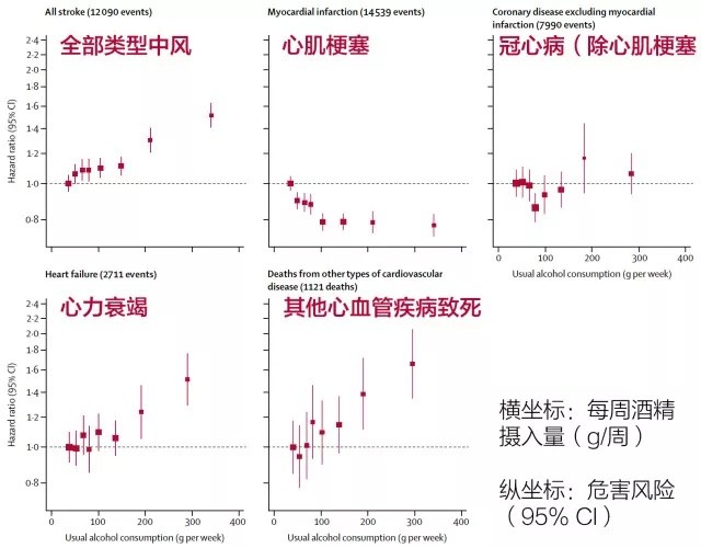 研究发现40岁每天2.5瓶啤酒,预期减寿5年,小喝真的怡情吗