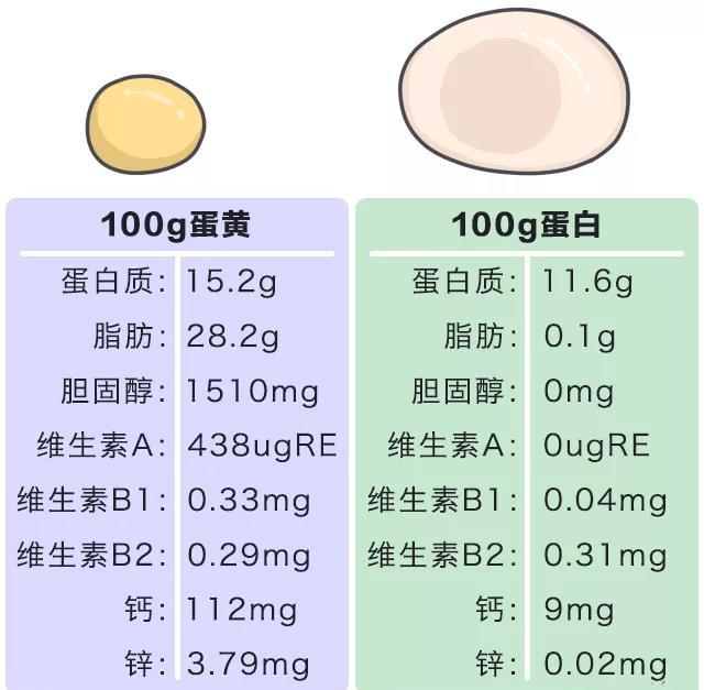 被冤枉的鸡蛋黄告诉你:一天最多可以吃几个鸡蛋?