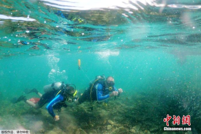 资料图：以色列凯撒利亚，29岁的截瘫潜水员Saeed Darawsheh在凯撒利亚海岸附近潜水并清理海中的塑料垃圾。