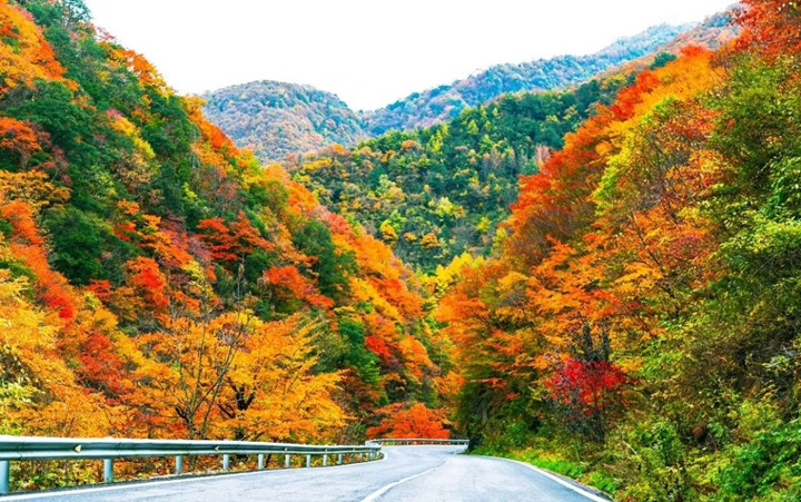 秋天旅游必去打卡的最美秋色，秋高气爽，云淡风轻，让人陶陶欲醉