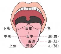 舌诊怎么窥探身体的秘密
