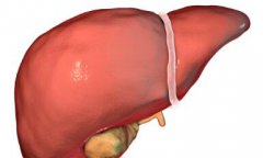 有5种症状，暗示肝脏已“伤痕累累”