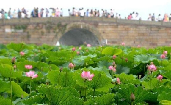 浙江最值得去的3个5A景区，去过的游客都说好，关键还都是免费