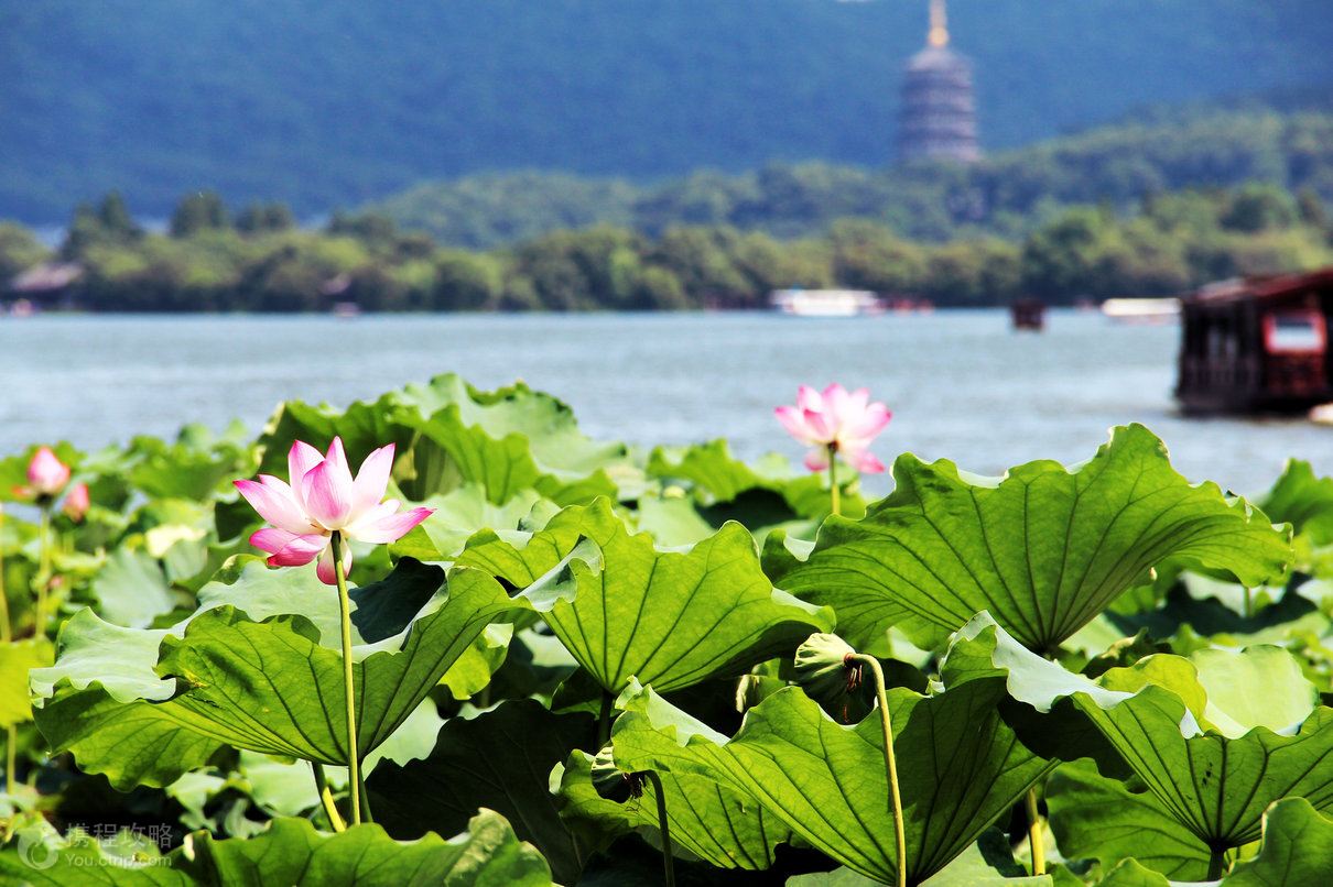 浙江最值得去的3个5A景区,去过的游客都说好,关键还都是免费