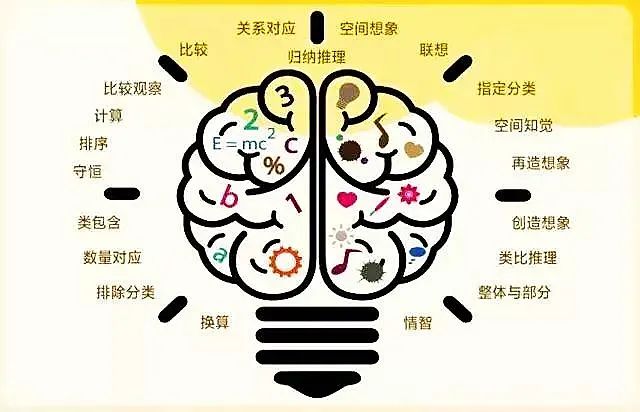 幼儿园开始培养这四个技能,让你家孩子成为“小学王者”