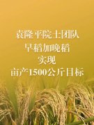 湖南衡南县水稻基地传出好消息