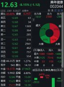 周四早盘，美年健康跌势延续，盘初快
