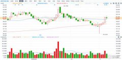 新城控股10月实现合同销售金额278.00亿元