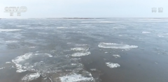 黑龙江抚远段开始出现大面积的冰排