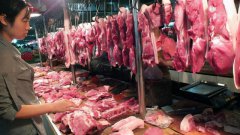 每天吃点猪肉提高免疫力、预防贫血好