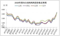 国内白羽鸡苗价格自11月初开启“疯涨”