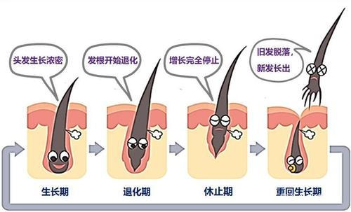 ''秃''如其来的危机，你的秀发还好吗