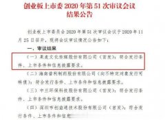 畅销书作家的幕后推手——果麦文化要