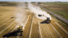 鉴于紧张局势加剧，澳洲小麦商宣布撤