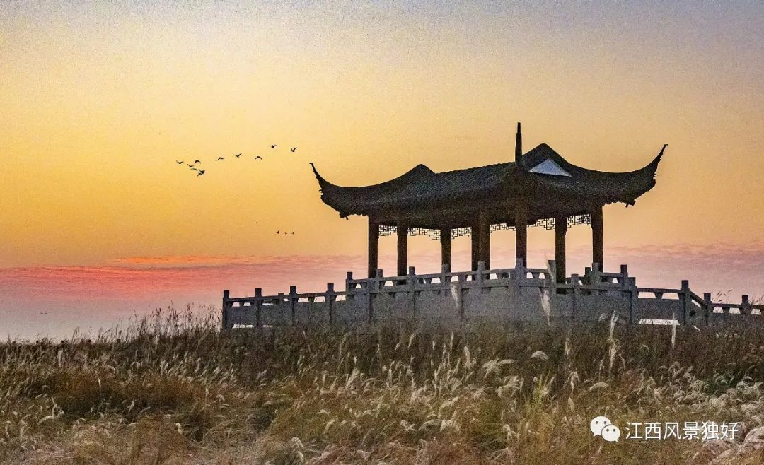 2020年十大“江西网红旅游线路”公布了，快来看看有你钟爱的线路吗？