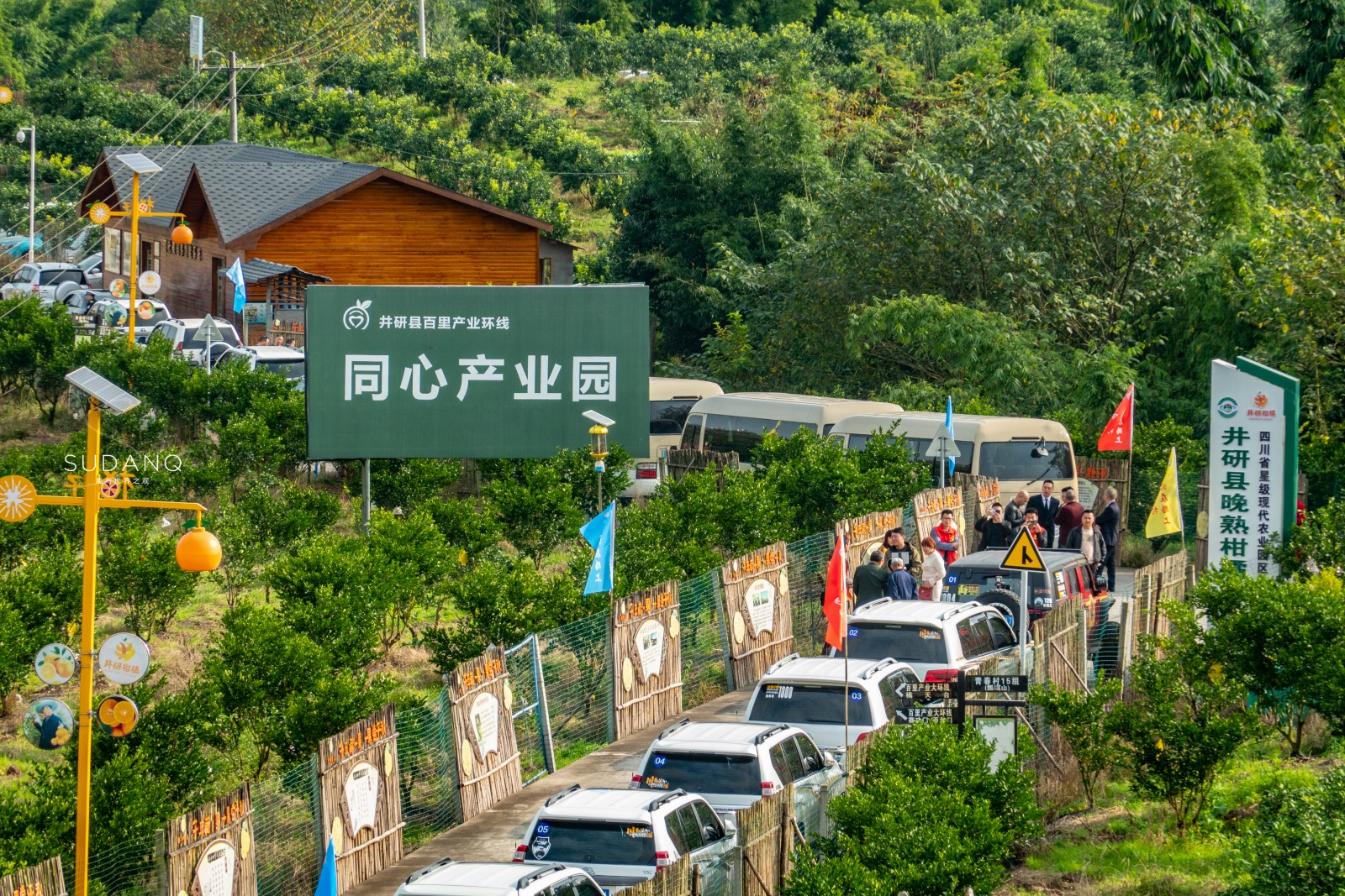 四川有这么一座小城，堪称“中国橘乡”，日本人都看中了这块宝地