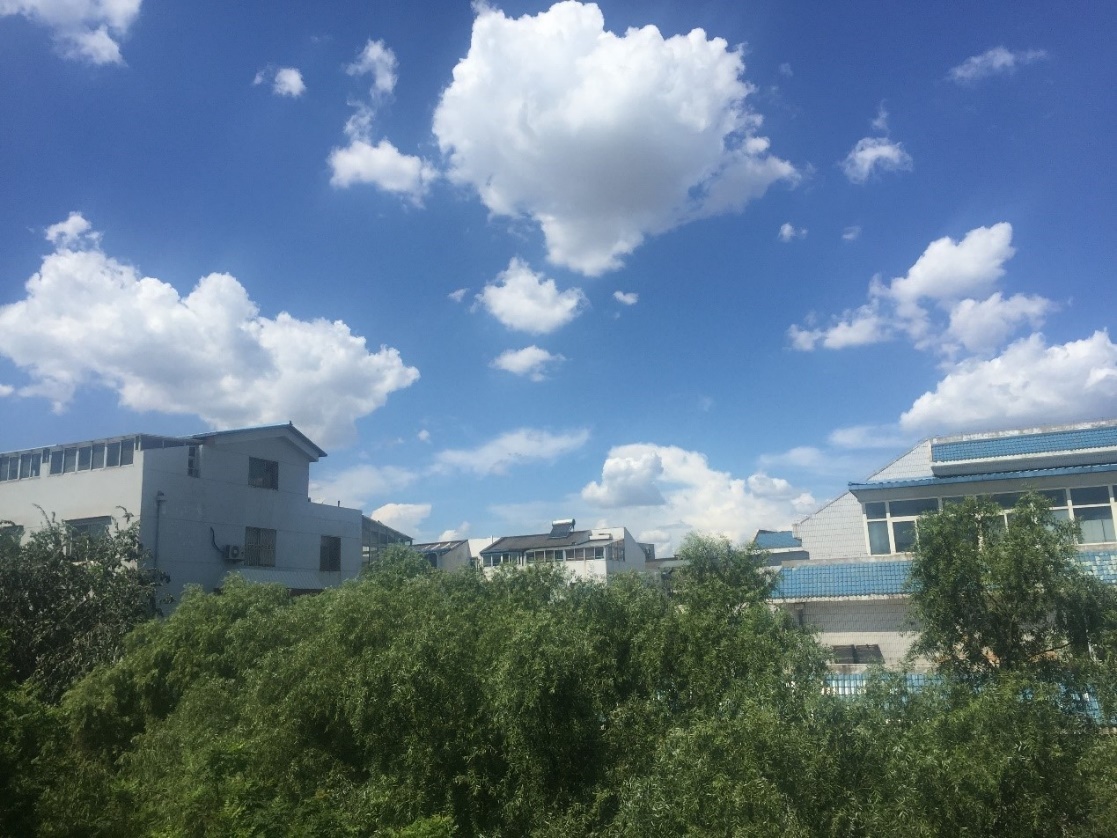 楼市定调!看房屋租售比,答案明显