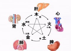 治肝实脾的“实脾”是补脾胃的意思吗