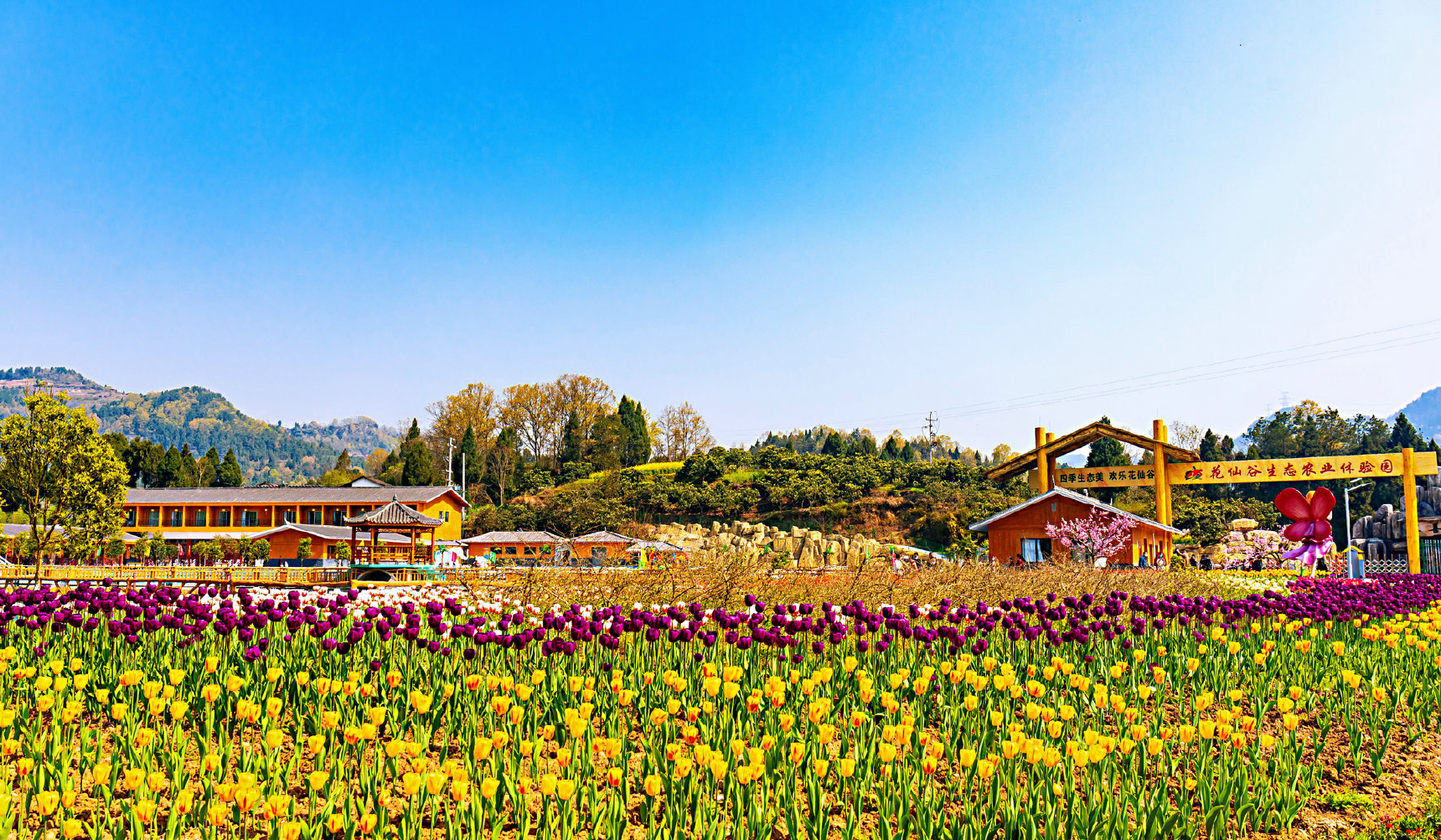 达州凤凰山登山路线图,达州凤凰山怎么走,深圳凤凰山登山路线图(第5页)_大山谷图库