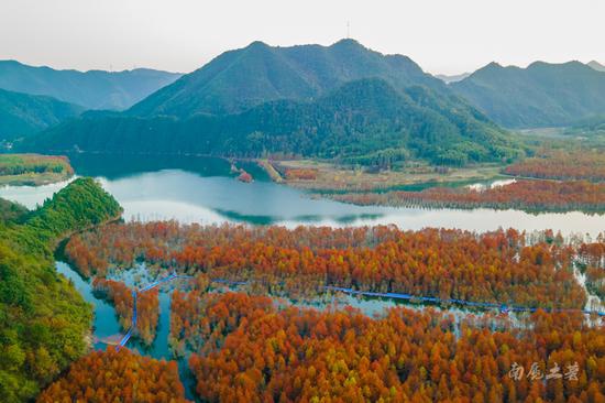 红遍全国的赏秋打卡地,游完都说像江南的喀纳斯,你觉得呢