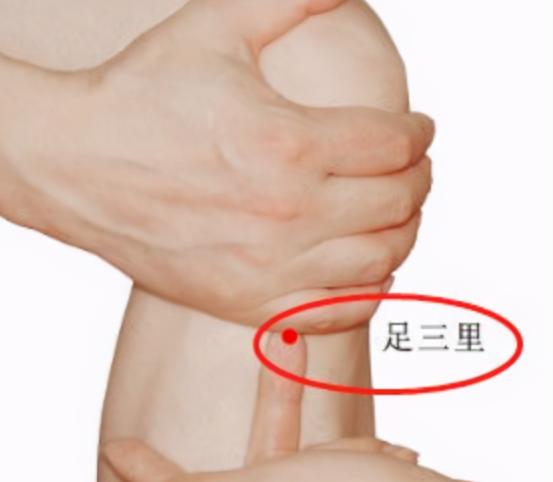 若想养胃,抓住饭后半小时,胃或许会一天比一天好