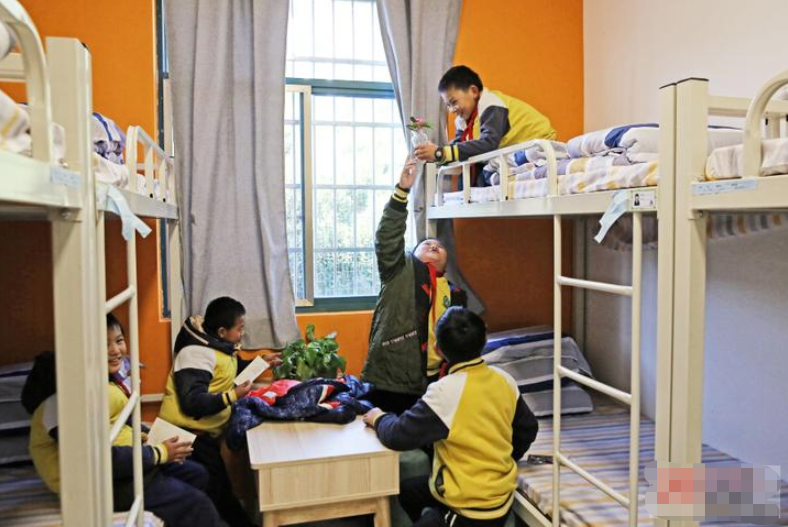 寄宿学校能让孩子更独立?白岩松:再苦也别让孩子读寄宿学校
