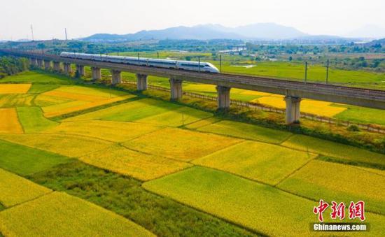 资料图:航拍秋日江西省新余市渝水区人和乡金色田园。图为疾驰而过的高铁。赵春亮 摄