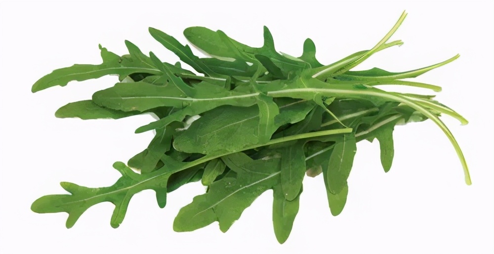 肝病患者宜吃什么蔬菜?6种蔬菜促进肝脏恢复