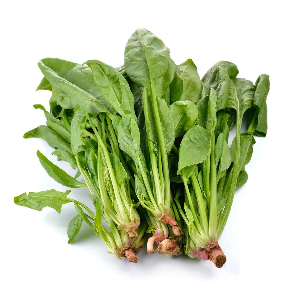 肝病患者宜吃什么蔬菜?6种蔬菜促进肝脏恢复