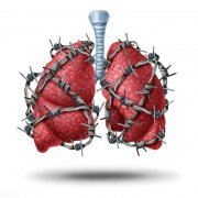 秋冬季我们应该如何养肺呢？