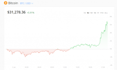 比特币史上首次站上30000美元整数大关，