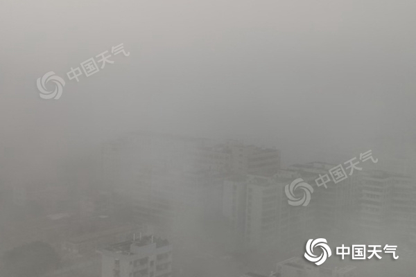 昨天广东雷州现大雾天气。(林建馨摄)