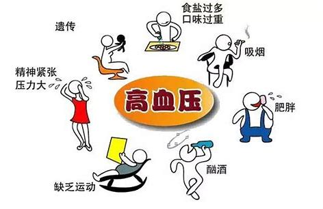 低压总是高,该吃什么药?弄清病因才最重要!医生为您讲清楚