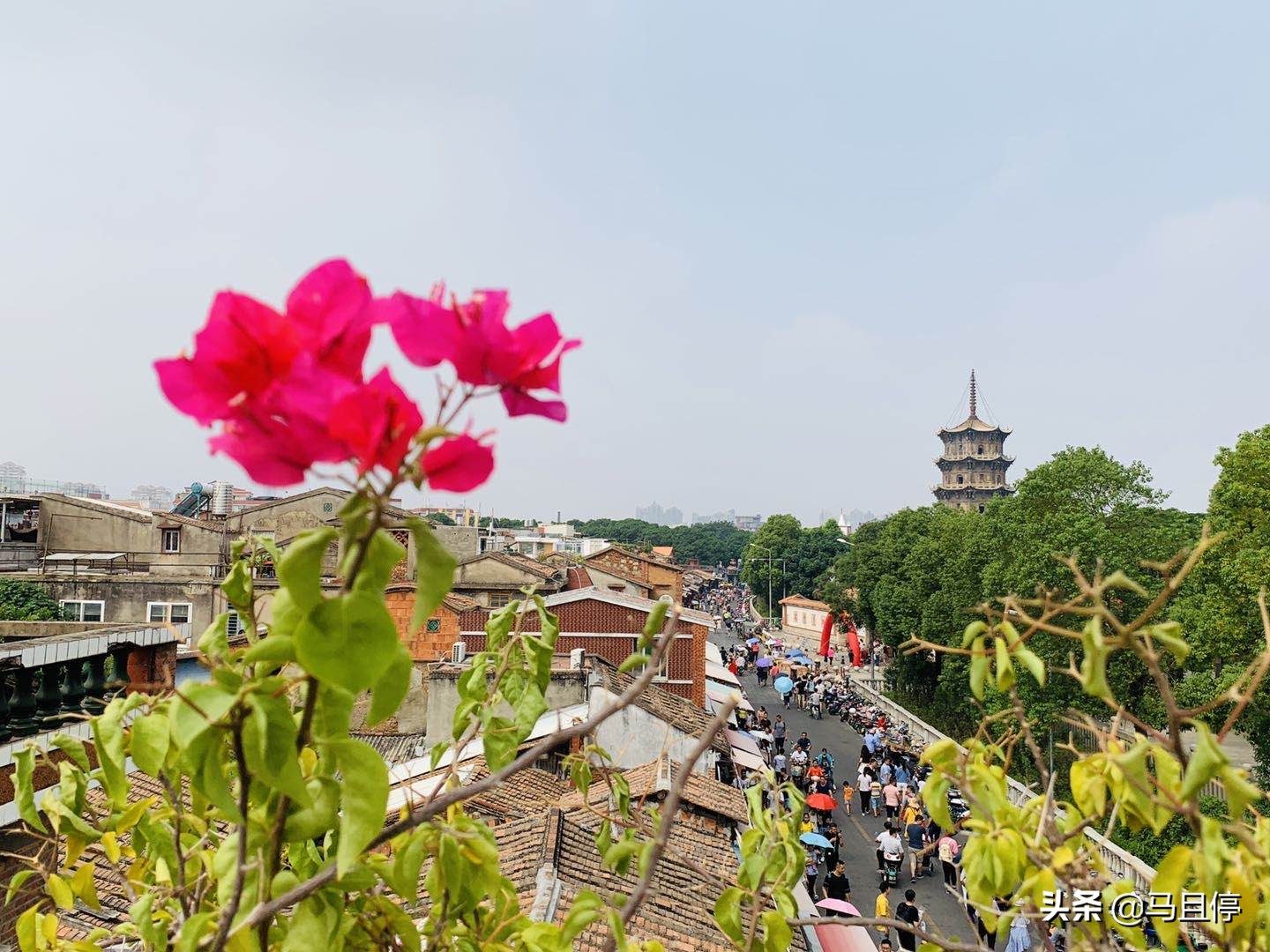 距厦门仅60分钟车程，藏着2700年古城，景点丰富且大都免费