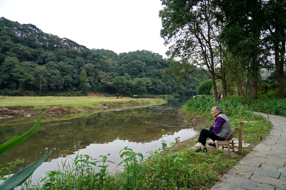 游江西婺源：一个叫漳村的地方，一条清澈的溪水，一部追过的电影