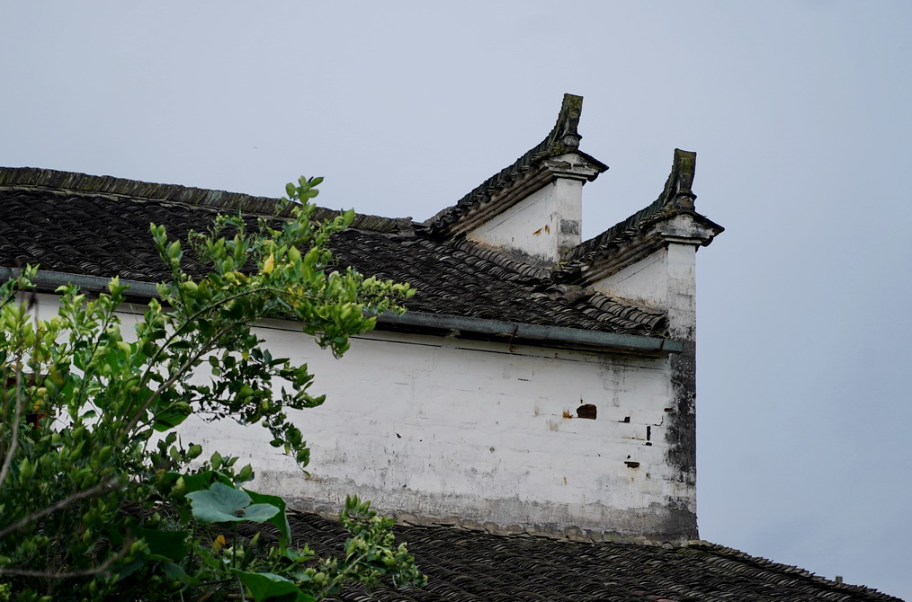 游江西婺源：一个叫漳村的地方，一条清澈的溪水，一部追过的电影