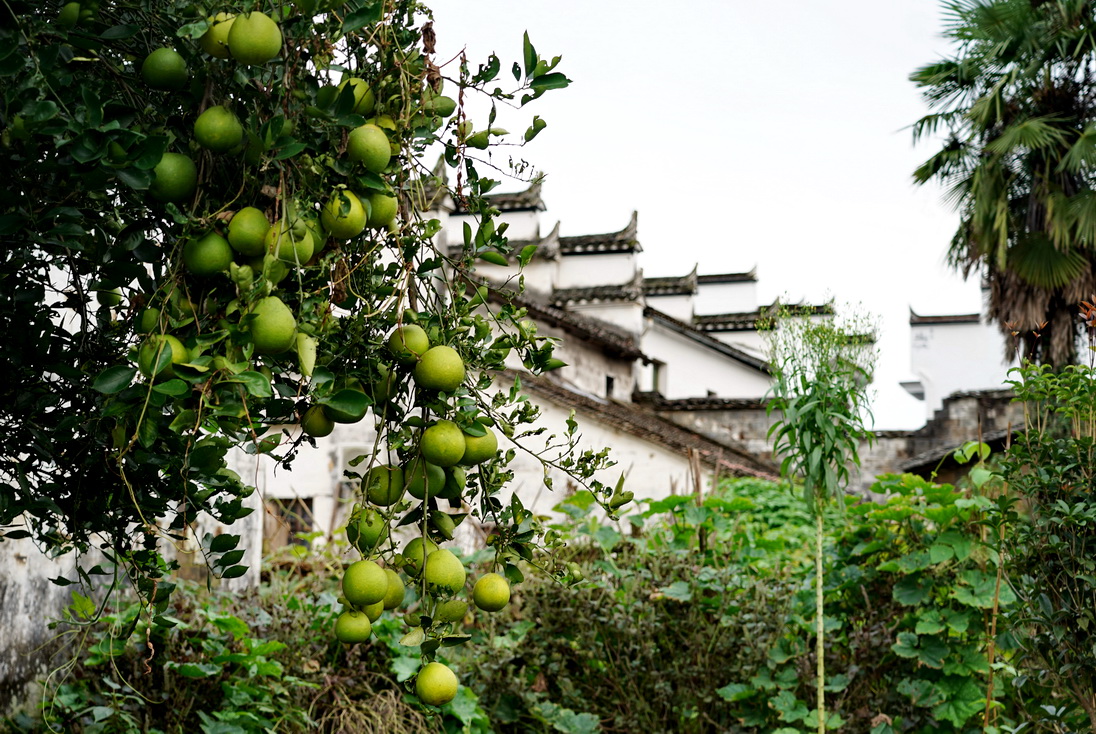 游江西婺源:一个叫漳村的地方,一条清澈的溪水,一部追过的电影