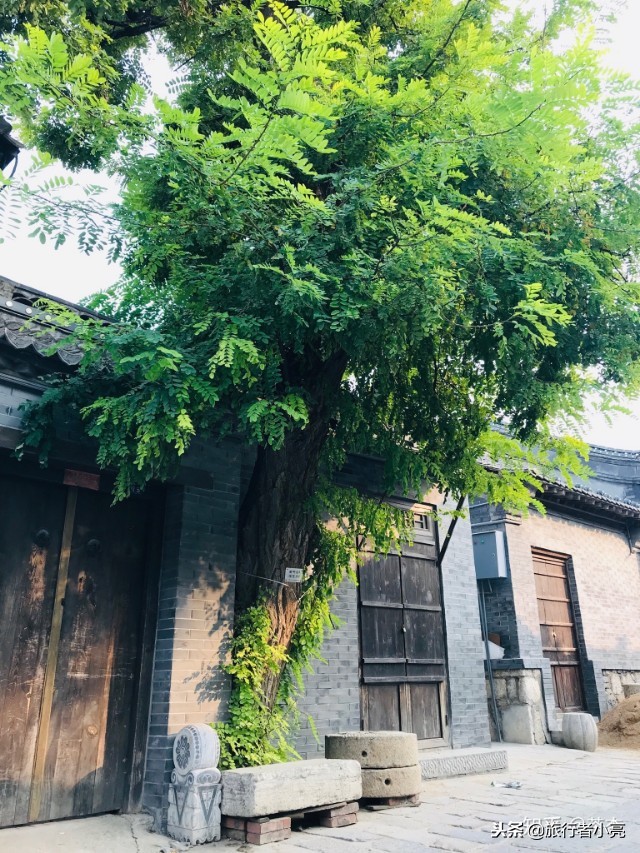 山东20大必玩景点,山东20大必玩景点排行榜,您去过哪些呢?