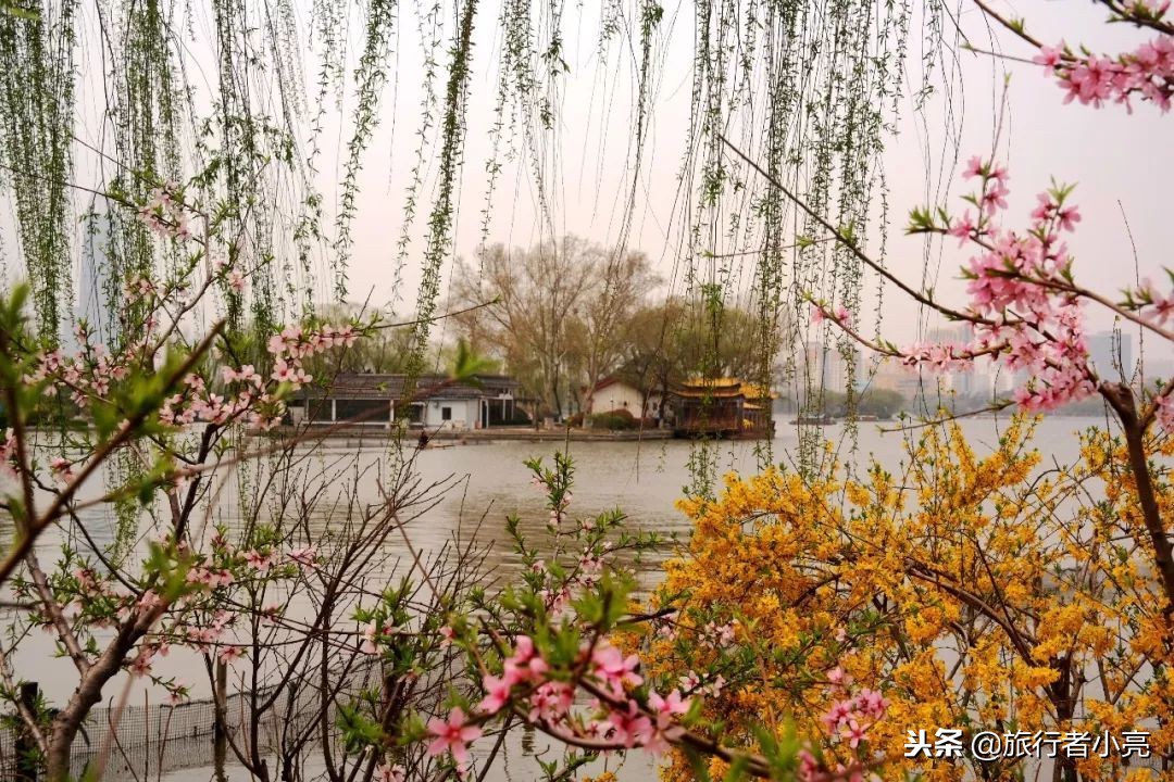 山东20大必玩景点,山东20大必玩景点排行榜,您去过哪些呢?