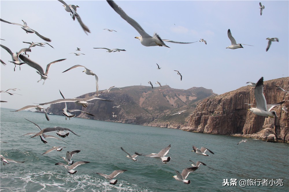 山东20大必玩景点,山东20大必玩景点排行榜,您去过哪些呢?