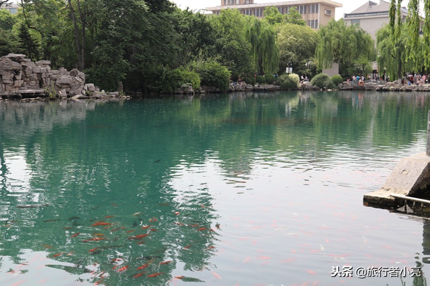山东20大必玩景点,山东20大必玩景点排行榜,您去过哪些呢?