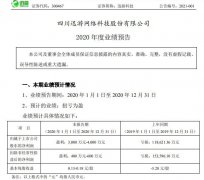 迅游科技（300467）近日发布2020年业绩预