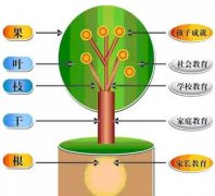 教育孩子，从家长做起，从家庭起步