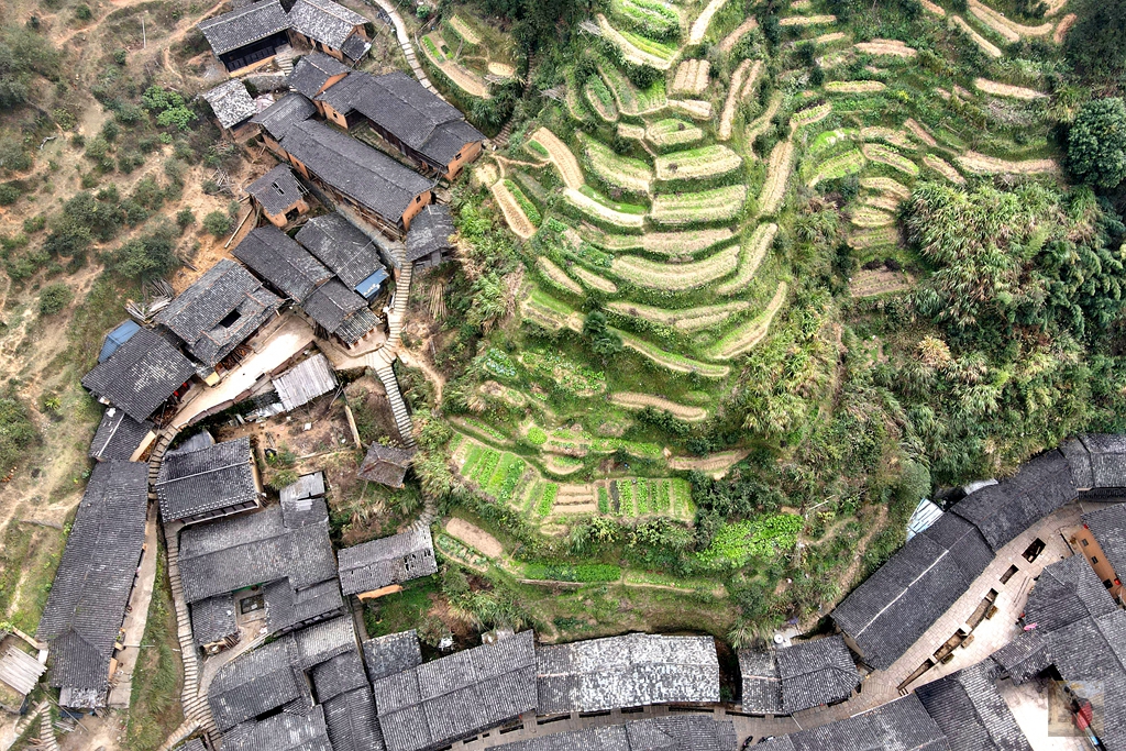 福建的一个县，千年府城却如此低调，单凭客家美食也值得去一次