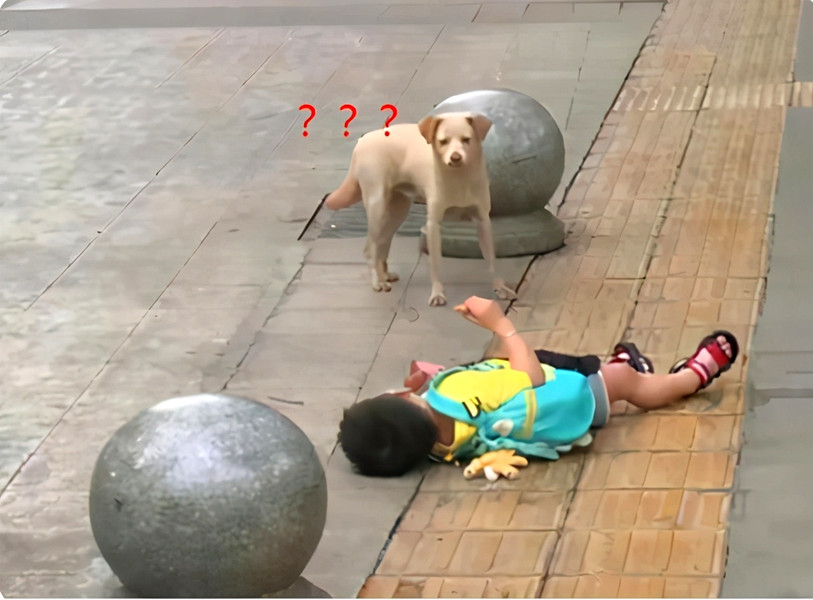 孩子撒泼打滚已经不管用了,90后父母育儿观:都是我们玩剩下的