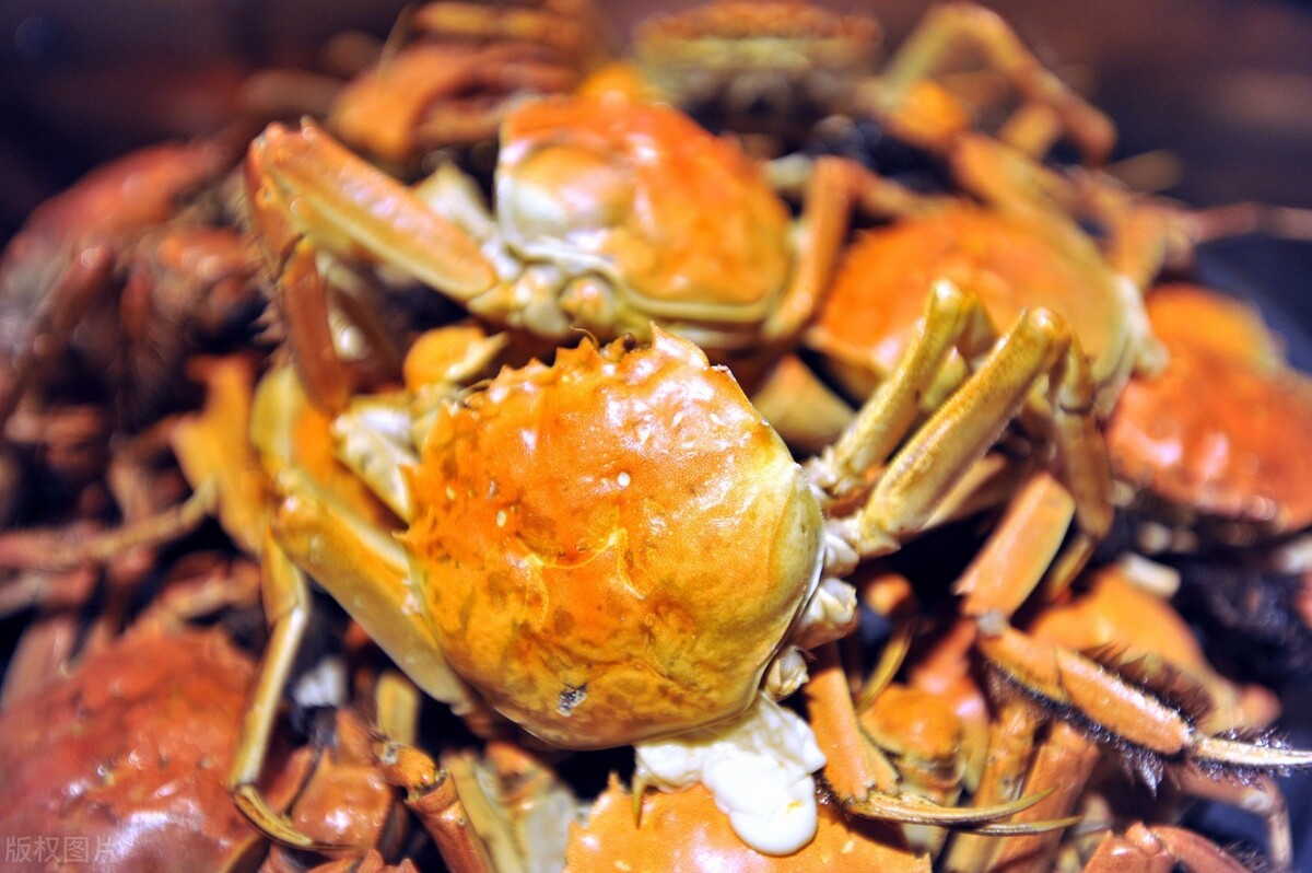 医生提醒:肾结石喜欢“六高”饮食,想养护肾脏,最好远离